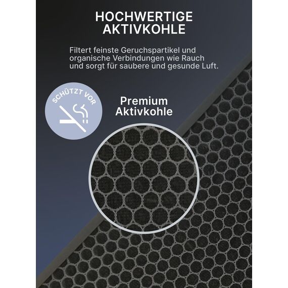 Comedes Filter-Set einsetzbar statt Philips NanoProtect Hepafilter FY1410/30 und Philips FY1413/30 Aktivkohlefilter für Luftreiniger AC1214 und AC2729 von Series 1000 und 1000i (10 Sets)