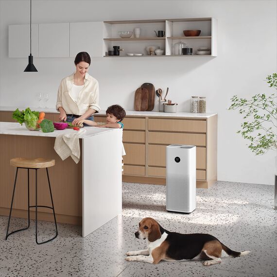 Xiaomi Smart Air Purifier 4 Pro (beseitigt bis zu 99,97 Prozent Tierhaare, Pollen, Staub, Viren und Aerosole: PCADR 500 m³/h, FCADR 185 m³/h, optimal für 60 m², Touch Display, App/Sprachsteuerung)