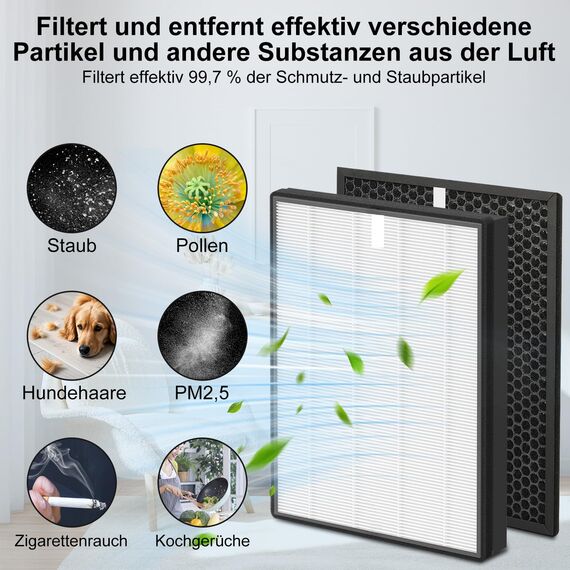 Fishoney FY2420/30 Filter für Philips AC2882, AC2887, AC2889 & AC3829, Serie 2000 und 3000, Ersetzt FY2422 & FY2420, 2 Hepa-Filter, 2 Aktivkohlefilter