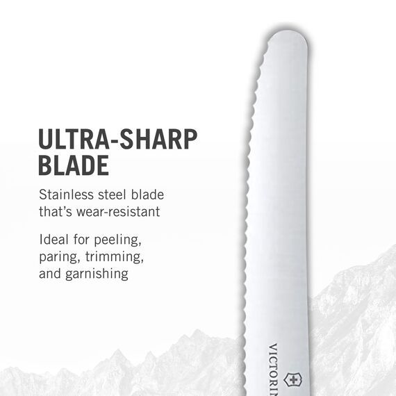 Victorinox Swiss Classic, Frühstücksmesser, Brötchenmesser, Scharfe Klinge, Wellenschliff, 11 cm, Kunststoffgriff, Rostfreier Stahl, Set 6teilig, Mehrfarbig