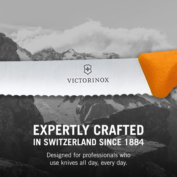 Victorinox Swiss Classic, Frühstücksmesser, Brötchenmesser, Scharfe Klinge, Wellenschliff, 11 cm, Kunststoffgriff, Rostfreier Stahl, Set 6teilig, Mehrfarbig