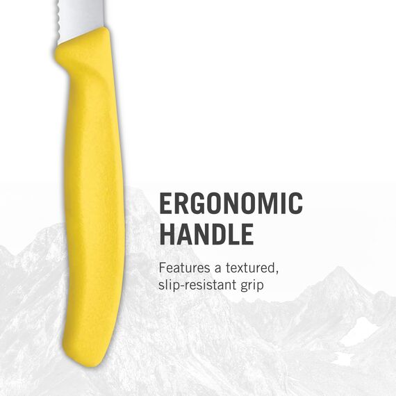 Victorinox Swiss Classic, Frühstücksmesser, Brötchenmesser, Scharfe Klinge, Wellenschliff, 11 cm, Kunststoffgriff, Rostfreier Stahl, Set 6teilig, Mehrfarbig
