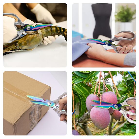 CGBE Multifunktionale Küchenschere aus Edelstahl: Scharfe Haushaltsschere Spülmaschinenfest für Küche - Allzweckschere für Huhn Geflügel Fisch Fleisch Kräuter - Mehrfarbig