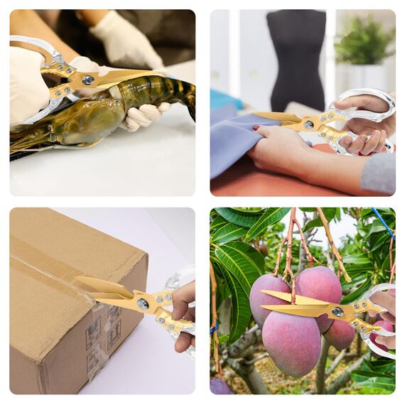 CGBE Multifunktionale Küchenschere aus Edelstahl: Scharfe Haushaltsschere für Küche - Transparenter Griff - Allzweckschere für Huhn Geflügel Fisch Fleisch Kräuter - Gold