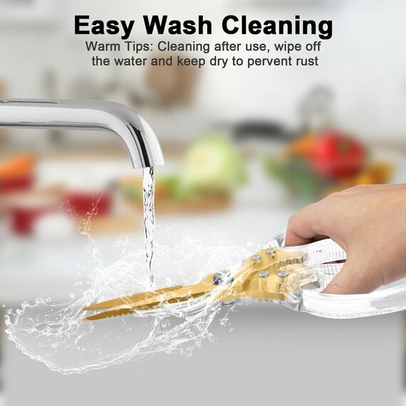 CGBE Multifunktionale Küchenschere aus Edelstahl: Scharfe Haushaltsschere für Küche - Transparenter Griff - Allzweckschere für Huhn Geflügel Fisch Fleisch Kräuter - Gold