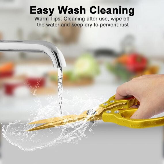 CGBE Küchenschere, Haushaltsschere aus Edelstahl, Strapazierfähig, Spülmaschinenfest, Allzweckschere, Scharfe Kochschere für Küche, Huhn, Geflügel, Fisch, Fleisch, Kräuter, Ganz Gold