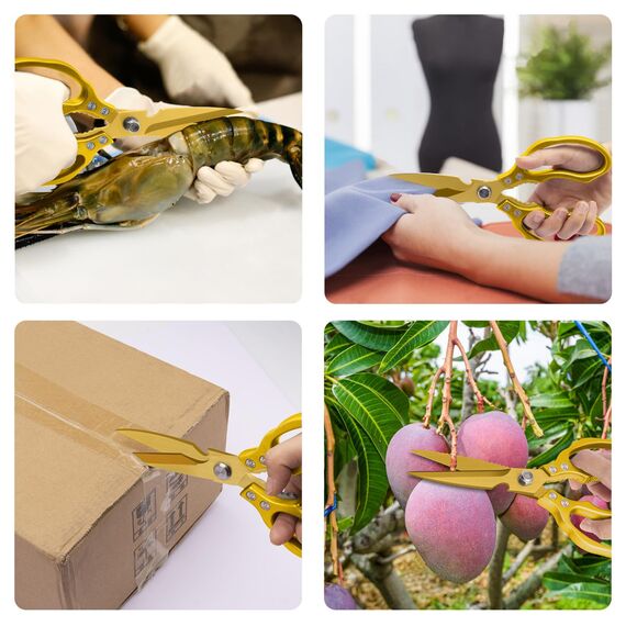 CGBE Küchenschere, Haushaltsschere aus Edelstahl, Strapazierfähig, Spülmaschinenfest, Allzweckschere, Scharfe Kochschere für Küche, Huhn, Geflügel, Fisch, Fleisch, Kräuter, Ganz Gold