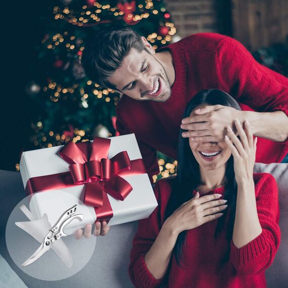 TIVOLI Geflügelschere Küchenschere Profi Haushaltsschere Metallgriff, Schere Küche Scharfe Edelstahl Knochenschere mit Sicherheitsschloss Federmechanismus,Allzweckschere für Fleisch,Fisch (Modern)