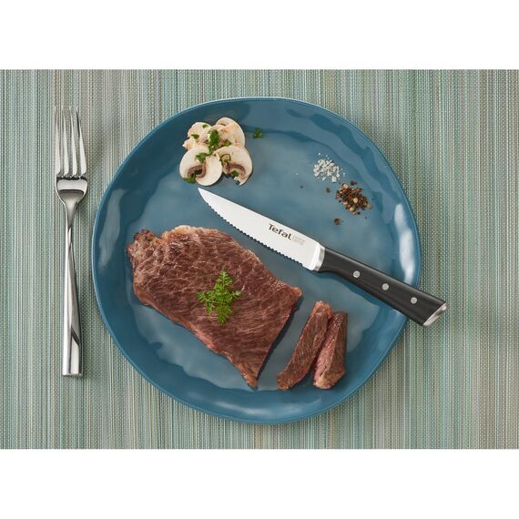 Tefal Ice Force 4-teiliges Steakmesser Set, Spezialmesser mit 11 cm Klinge, langfristige Leistung, Spezielle Klingenfertigung für optimale , Edelstahl made in Germany, K232S4