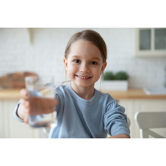 SodaStream Reserve Zylinder für bis zu gesprudeltes Wasser60 Liter