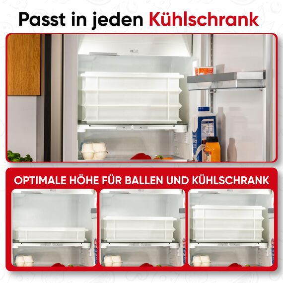 DIE BOX FABRIK 1 Pizzaballenbox Gusto + 1 Deckel, 40x30x7 cm | Gärbox, Teigwanne für Pizzateig. Teigbox für 6 Pizzaballen, Pizzateigbehälter (1 Gusto Box + 1 Deckel)