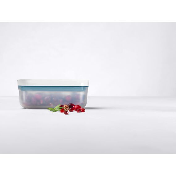 ZWILLING,Fresh & Save,Vakuumbox