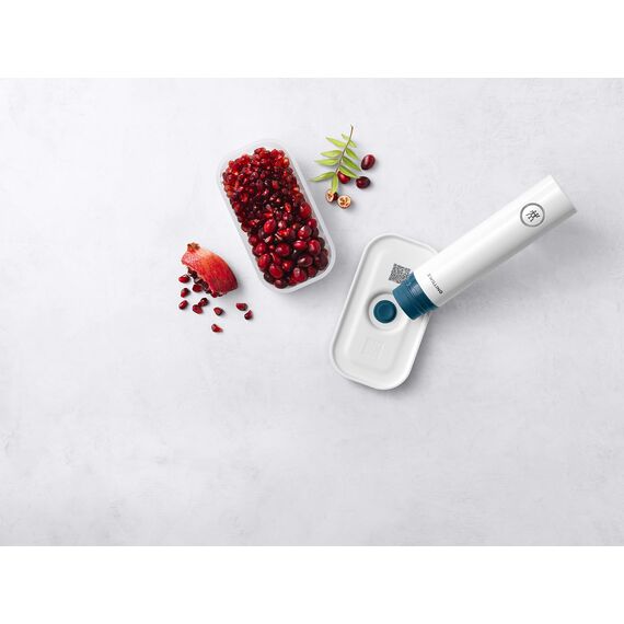 ZWILLING,Fresh & Save,Vakuumbox