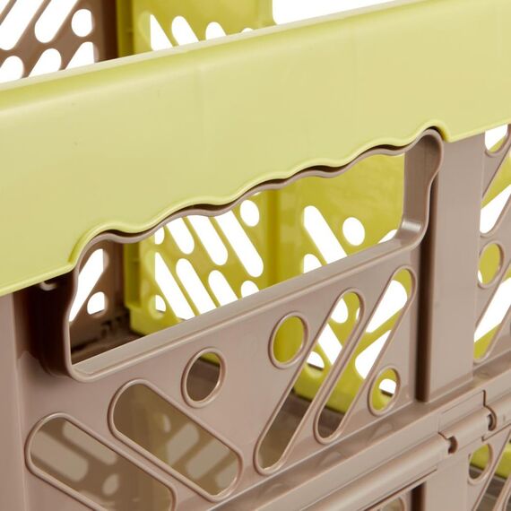 keeeper Stabile Profi-Klappbox mit Soft-Touch Griffen, 54 x 37 x 28 cm, 45 l, Ben, Grün/Taupe