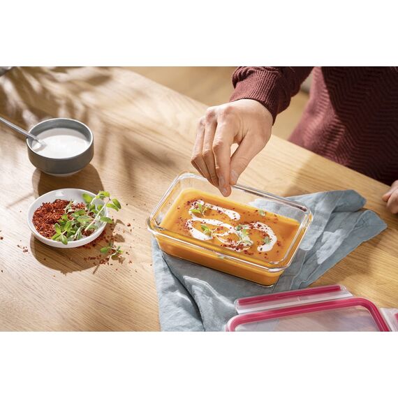 EMSA Clip & Close Glas Frischhaltedosen-Set, rechteckig, 0,7 L, 19,7 x 13,6 x 7 cm, 100 Prozent dicht, Glasbehälter spülmaschinen-, gefrier-, backofen-, mikrowellenfest, Rot, Transparent, N10406