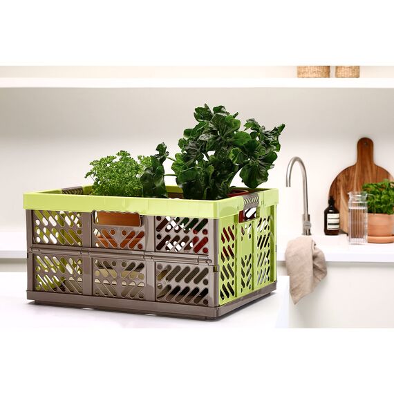 keeeper Stabile Profi-Klappbox mit Soft-Touch Griffen, 54 x 37 x 28 cm, 45 l, Ben, Grün/Taupe