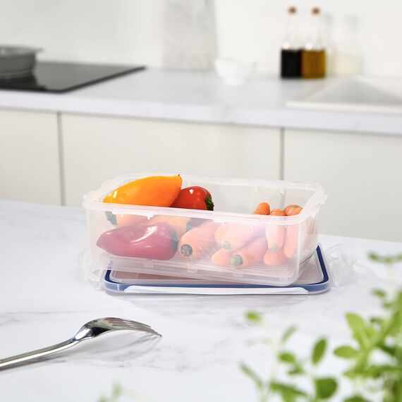 LocknLock PP Classic Vorratsdose mit Ablaufgitter | 1 L | 20,5 x 13,4 x 6,9 cm | 100 % luft- und wasserdicht | Gefrier-& Kühlschrank Organizer | Spülmaschinen-& Mikrowellengeeignet