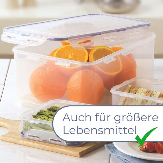 LocknLock CLASSIC Frischhaltedose | 800 ml | 205 x 134 x 52 mm | Mit Ablaufgitter | Luft- und wasserdichte Vorratsdose | Spülmaschinen-, und Mikrowellengeeignet | BPA-Frei