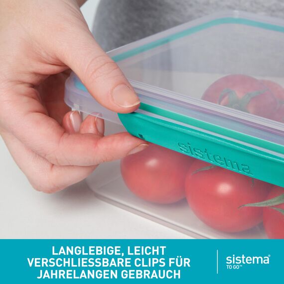 Sistema TO GO Bento-Box Cubes | 1,25 L | Brotdose für Pause mit Fächern und Snackbox | BPA-frei | 2 Stück | Minty Teal & Ocean Blue