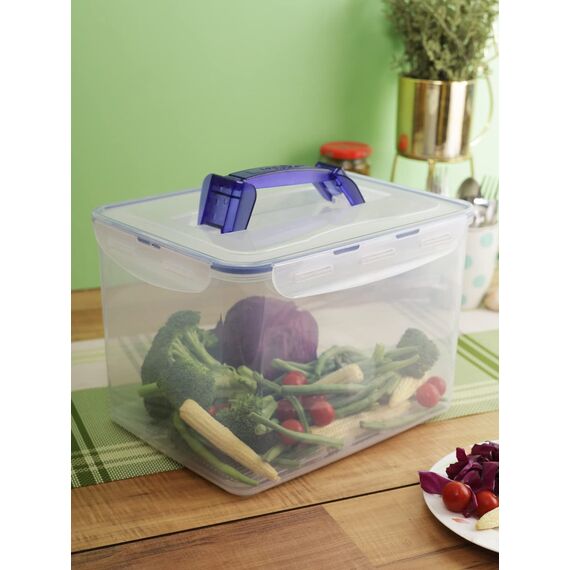 LocknLock PP Classic Aufbewahrungsbox luftdicht mit Griff & Ablaufgitter| 10L | 29,5 x 23 x 20,3 cm | 100 % luft- und wasserdichter Vorratsbehälter mit Deckel | Gefrierfeste Aufbewahrungsdose