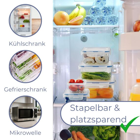 LocknLock PP Classic Aufbewahrungsbox luftdicht mit Griff & Ablaufgitter| 6,5L | 29,5 x 23 x 13,8 cm | 100 % luft- und wasserdichter Vorratsbehälter mit Deckel | Gefrierfeste Aufbewahrungsdose