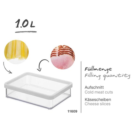 Rotho Loft rechteckige Vorratsdose 1l mit Deckel und Dichtung, Kunststoff (SAN) BPA-frei, transparent/weiss, 1l (20.0 x 15.0 x 4.8 cm)
