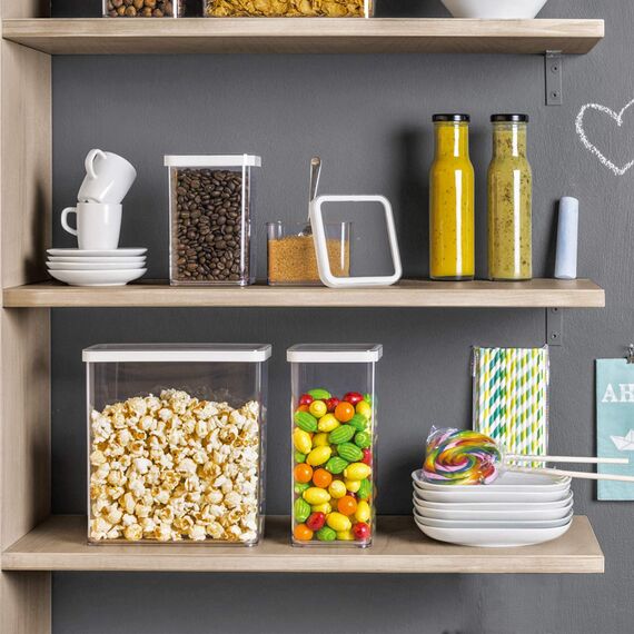 Rotho Loft Vorratsdose 3.2l mit Deckel, Kunststoff (SAN) BPA-frei, transparent/weiss, 3.2l (20.0 x 10.0 x 21.4 cm)