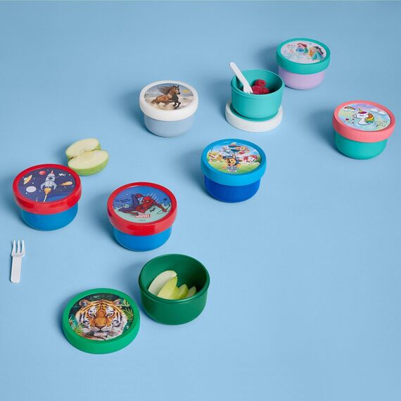 Mepal - Obstbox Campus Little Dutch - Snackbox für Kinder - Spülmaschinen- und mikrowellenfest - BPA-frei - 300 ml - Fairy Garden