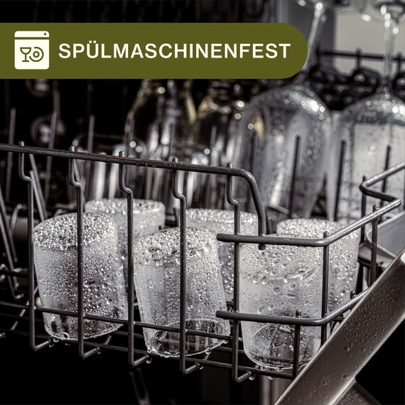 Praknu Gewürzgläser 120ml - 10er Set Gewürzdosen Organizer mit Gewürzetiketten - Luftdicht - Spülmaschinenfest -Küchenorganisation - für Gewürze, Kräuter & Tee