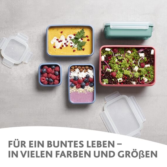 Emsa Frischhaltedose mit Deckel 2,2l Clip & Close Color Edition, 100% auslaufsicher, hygienisch, spülmaschinenfest, mikrowellengeeignet, gefriergeeignet, blau, N10128