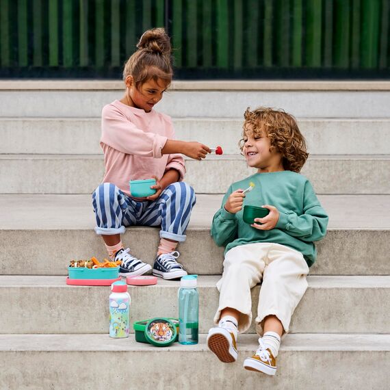 Mepal - Obstbox Campus Little Dutch - Snackbox für Kinder - Spülmaschinen- und mikrowellenfest - BPA-frei - 300 ml - Fairy Wonders