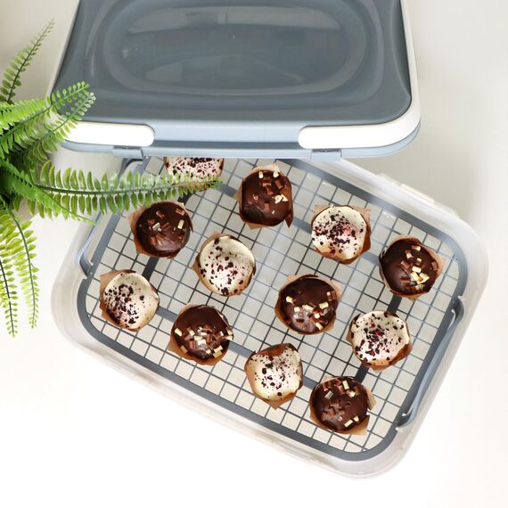 com-four® Partycontainer mit je 2 Etagen und Hebeeinsatz - Kuchen-Transportbox - Frischebox für Lebensmittel - Kuchencontainer mit Tragegriffen - Muffinbehälter (1 Stück pastell blau-grau)