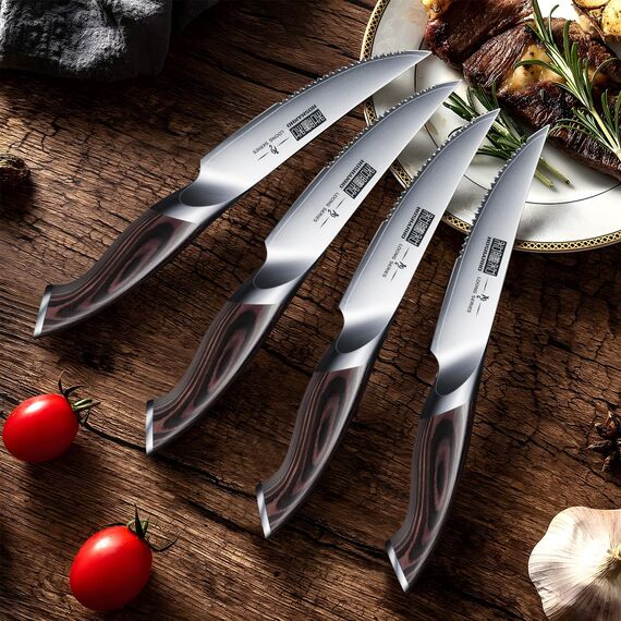 HOSHANHO Steakmesser 6-Teilig Set, Hochwertige Edelstahl Küchen Steakbesteck, Scharfe Gezahnte Steak Messerset mit Ergonomischem Griff
