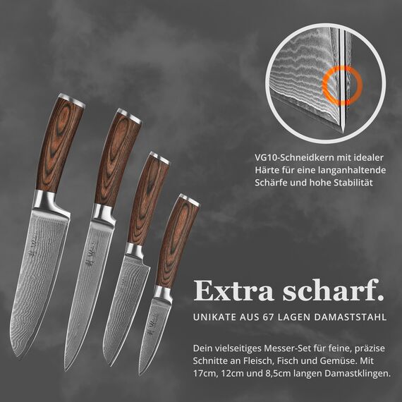 Wakoli EDIB 4-teiliges Damastmesser Set mit magnetischem Messerblock aus Akazienholz – Scharfe Küchenmesser mit 67 Lagen VG10 Stahl – Kochmesser für Hobbyköche & Profis – Geschenkbox enthalten