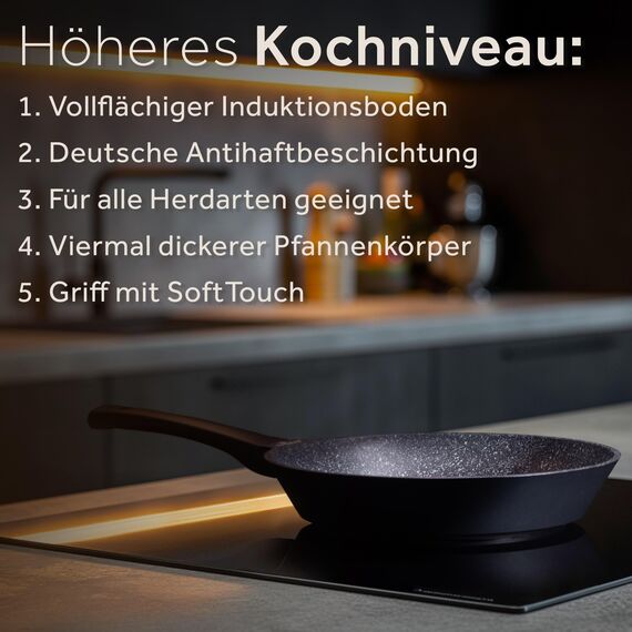 ZWIEGER Hochwertige kleine Pfanne 20cm Induktion – Bratpfanne 20 cm, Aluguss, vollflächiger Edelstahlboden, für alle Herdarten (inklusive Induktion) geeignet – Antihaft, PFOA- & PFOS-frei