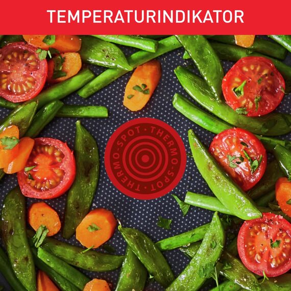 Tefal Duetto Pfanne 28cm, Edelstahlpfanne Induktion, Antihaftversiegelung, Thermo-Signal bei idealer Brattemperatur, leichte Reinigung, Kochen und Anbraten, für alle Herdarten geeignet, A70406