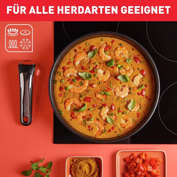 Tefal Ingenio Preference On Topf- & Pfannenset 13-teilig