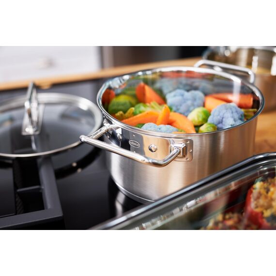 RÖSLE EXPERTISO Schmortopf, Universal-Garbehälter aus Edelstahl 18/10, 20 cm, Glasdeckel, Innenskalierung, induktionsgeeignet, spülmaschinengeeignet, Silber, Silberfarben