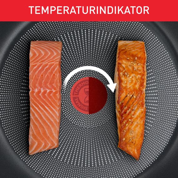 Tefal Ultimate On Bratpfanne Induktion 24 cm, Aluminiumpfanne mit hohem Rand, Antihaftversiegelung, Thermo-Signal bei idealer Brattemperatur, für alle Herdarten geeignet, schwarz, G26004