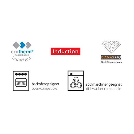 Schulte-Ufer Industar for Professionals Schmorpfanne mit Griffen aus Edelstahl in der Farbe Silber-Schwarz, Durchmesser: 28cm, 163048-28