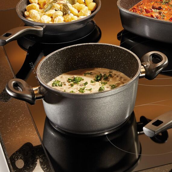 STONELINE Aluguss Kochtopf 20 cm, Topf mit Deckel 2,6 L, Antihaft beschichtet mit echten Steinpartikeln, Kochtopf Induktion 20 cm, für alle Herdarten, Backofen, Kochen ohne Fett oder Öl, Grau