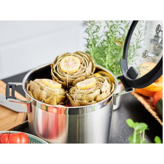 RÖSLE SILENCE PRO Gemüse und Suppentopf, Hochwertiger Universaltopf aus Edelstahl 18/10, 24 cm, Glasdeckel, Innenskalierung, induktionsgeeignet, spülmaschinengeeignet, Silberfarben / Schwarz