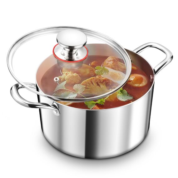 TEAMFAR Kochtopf Groß 26cm, 3-Lagen Edeastahl 6,6L Topf mit Glasdeckel für alle Herdarten, Suppentopf Induktion, Edelstahl poliert & Unbeschichtet