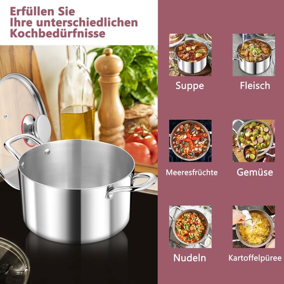 TEAMFAR Kochtopf Groß 26cm, 3-Lagen Edeastahl 6,6L Topf mit Glasdeckel für alle Herdarten, Suppentopf Induktion, Edelstahl poliert & Unbeschichtet