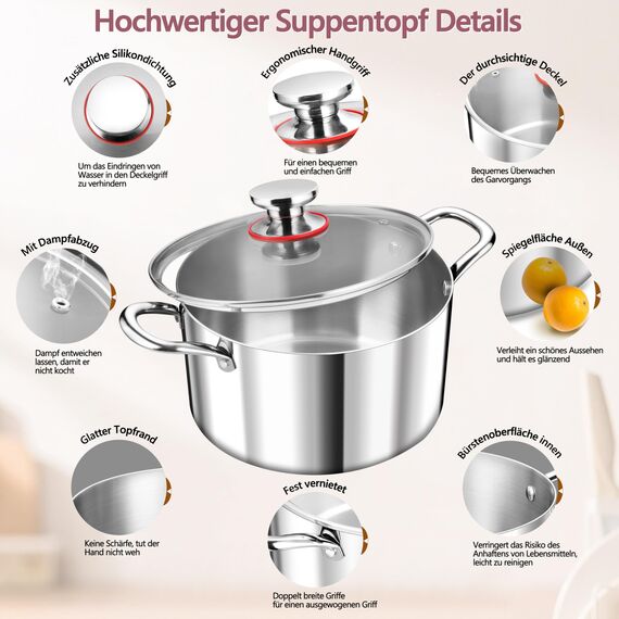 TEAMFAR Kochtopf Groß 26cm, 3-Lagen Edeastahl 6,6L Topf mit Glasdeckel für alle Herdarten, Suppentopf Induktion, Edelstahl poliert & Unbeschichtet
