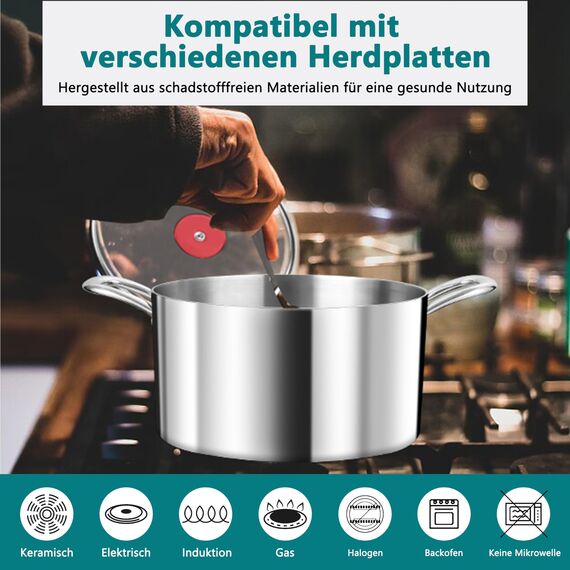 TEAMFAR Kochtopf, 20cm Topf Induktion aus 3-Lagen Edeastahl, 3,3L Nudeltopf Fleischtopf mit Glasdeckel für alle Herdarten, Edeastahl poliert & Unbeschichtet, Gesund, Spülmaschinenfest