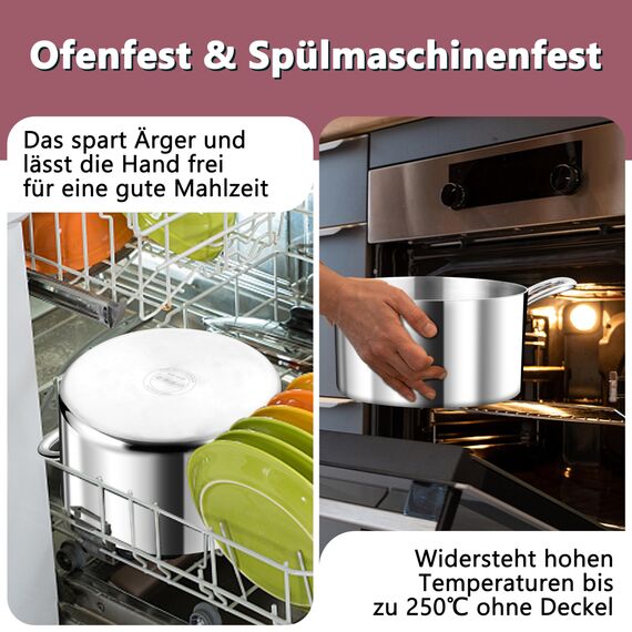 TEAMFAR Kochtopf Groß 26cm, 3-Lagen Edeastahl 6,6L Topf mit Glasdeckel für alle Herdarten, Suppentopf Induktion, Edelstahl poliert & Unbeschichtet