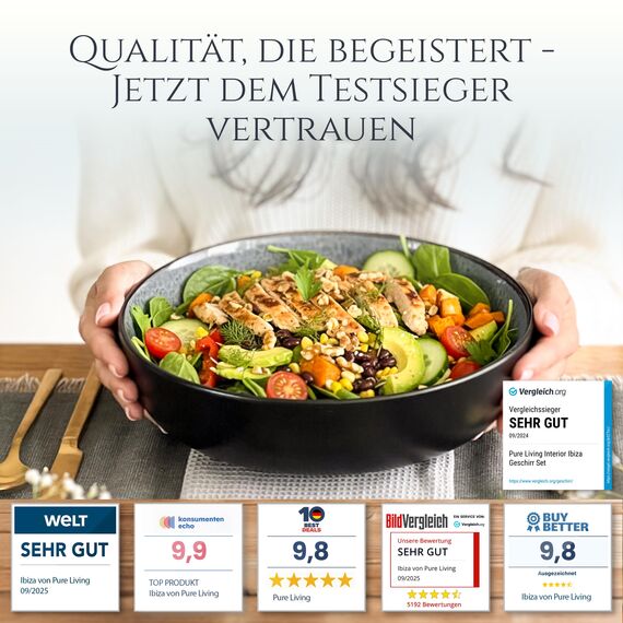 Steingut Servierschüssel Ibiza TESTSIEGER, Traumhafte Mediterrane Salatschüssel, Servierschale - Bowl Schüssel Groß, Salatschale - Pure Living in Grau