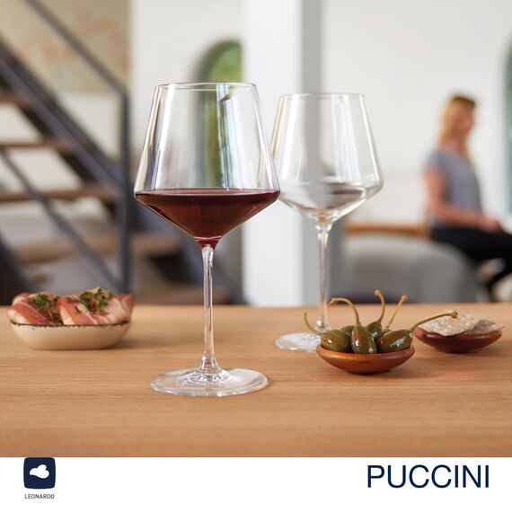 LEONARDO HOME Burgunderglas PUCCINI (6er Set) inkl. Poliertuch • Spülmaschinenfeste Wein-Gläser (730 ml) • Stoßfest & Alltagstauglich • 040981