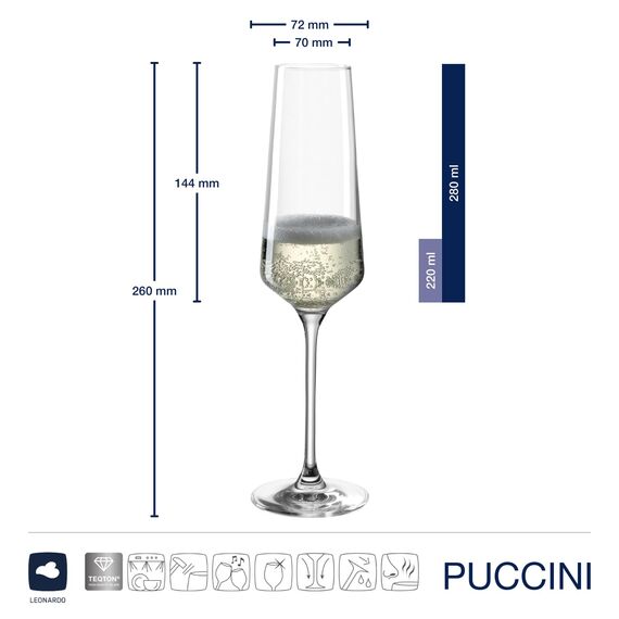 LEONARDO HOME Sektgläser PUCCINI (6er Set) inkl. Poliertuch • Spülmaschinenfeste Prosecco-Kelche (280 ml) • Stoßfest & Alltagstauglich • 040979